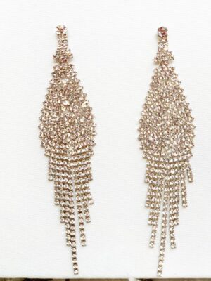 Silver dangler party wear earrings for women
